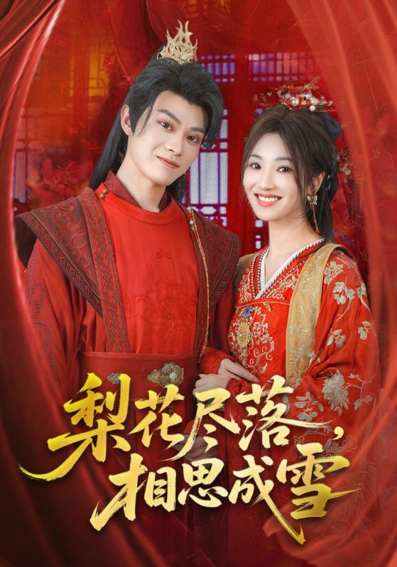 梨花尽落相思成雪封面图