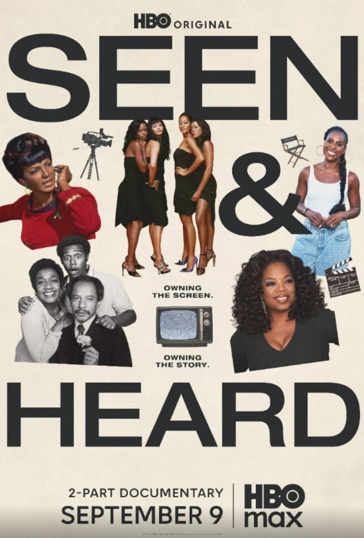 所见所闻：黑人电视史封面图