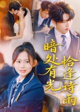 暗处有光恰逢诗雨封面图