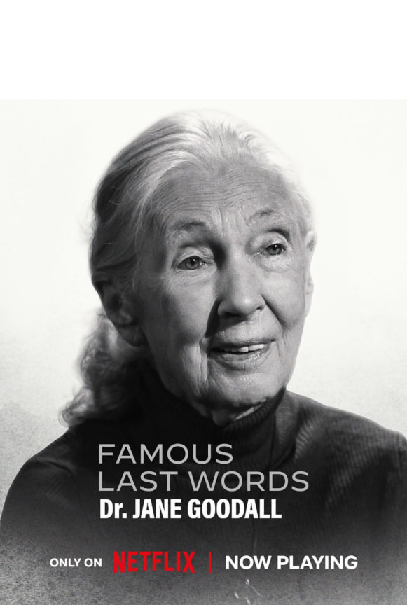 临终遗言封面图