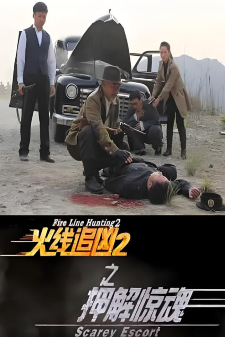 火线追凶2之押解惊魂封面图