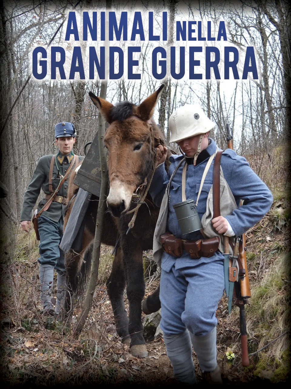 战争中的动物封面图