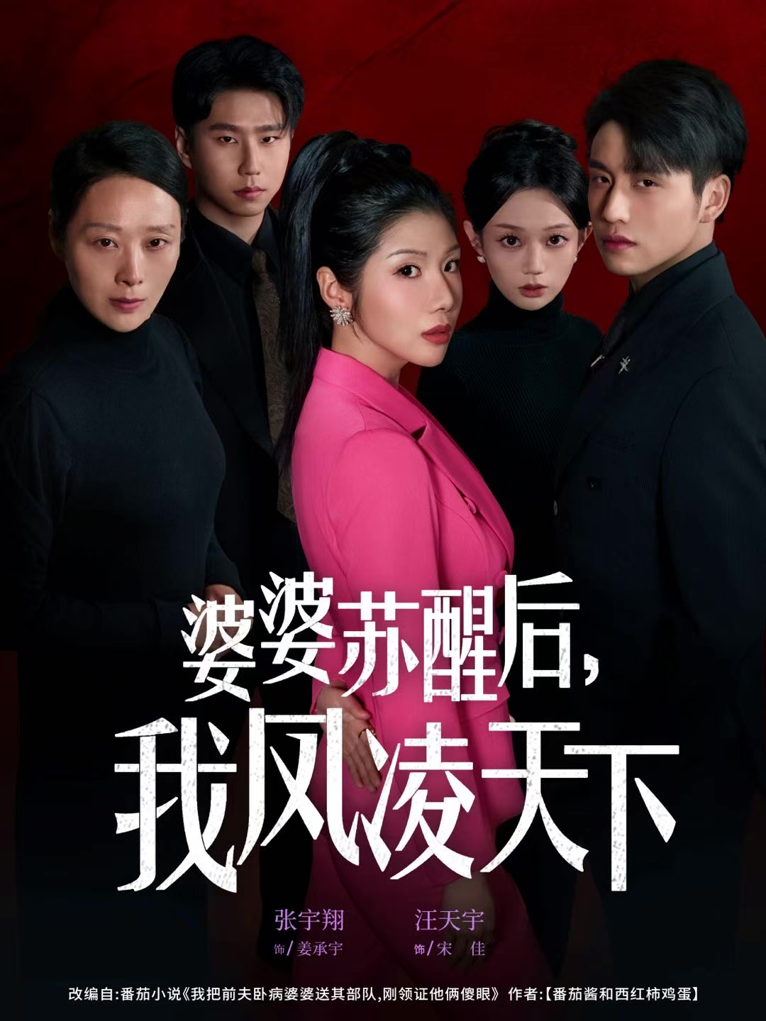 婆婆苏醒后，我凤凌天下封面图