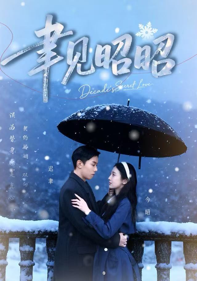 聿见昭昭封面图