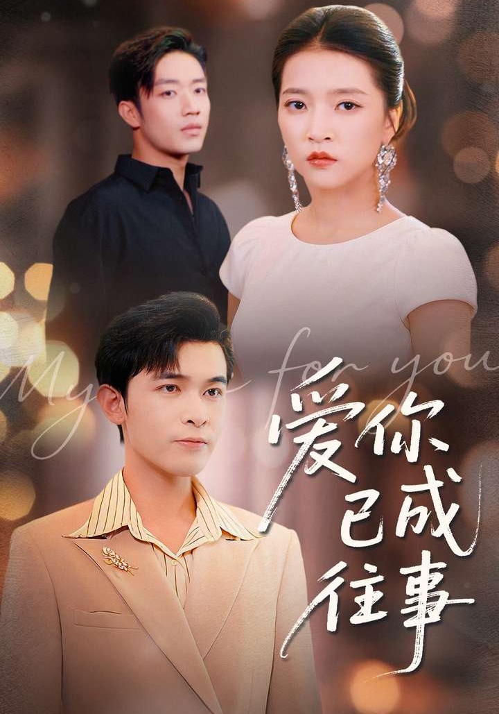 爱你已成往事封面图