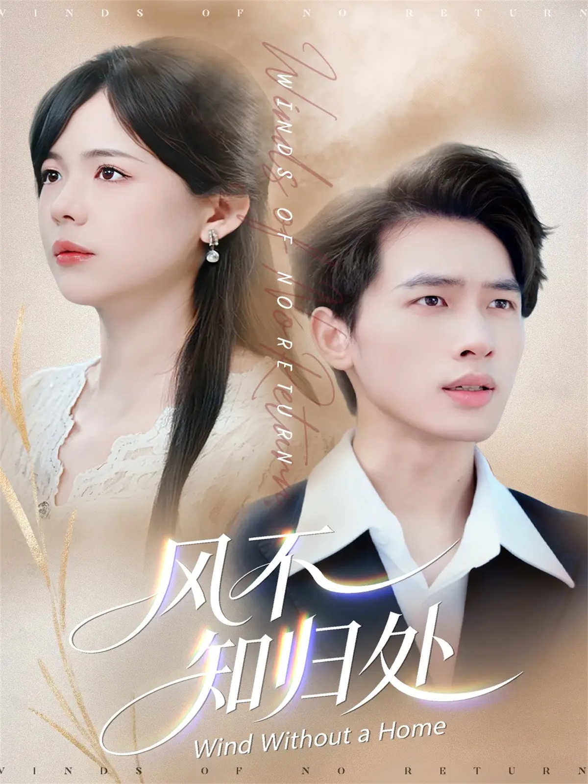 风不知归处封面图