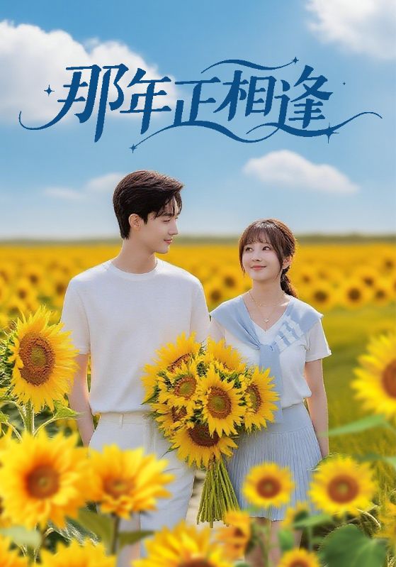 那年正相逢封面图