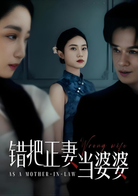 错把正妻当婆婆封面图