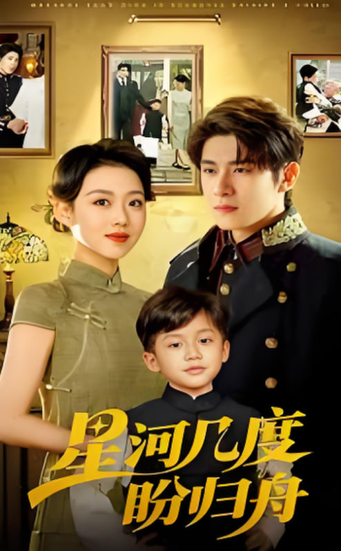 星河几度盼归舟封面图