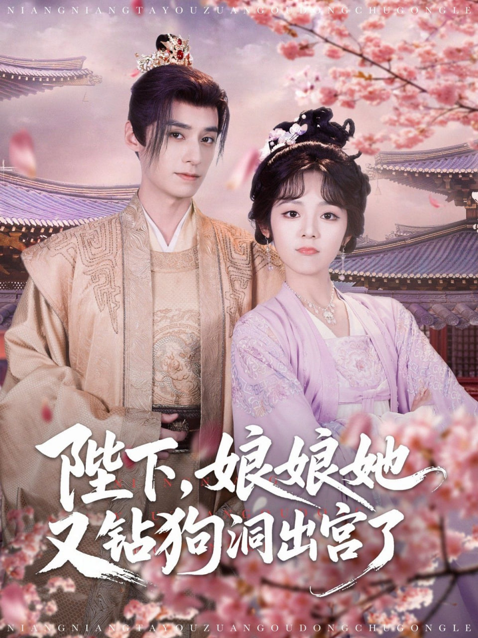 陛下娘娘她又钻狗洞出宫了封面图