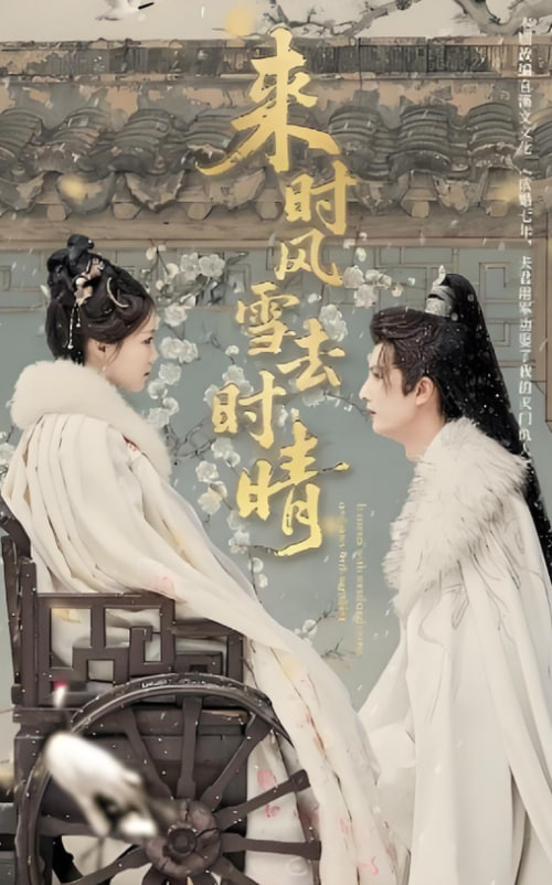 来时风雪去时晴封面图