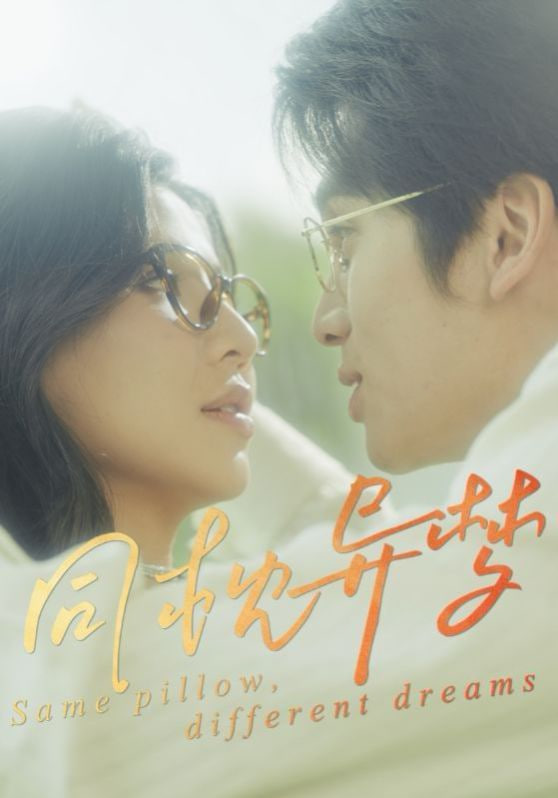 同枕异梦封面图