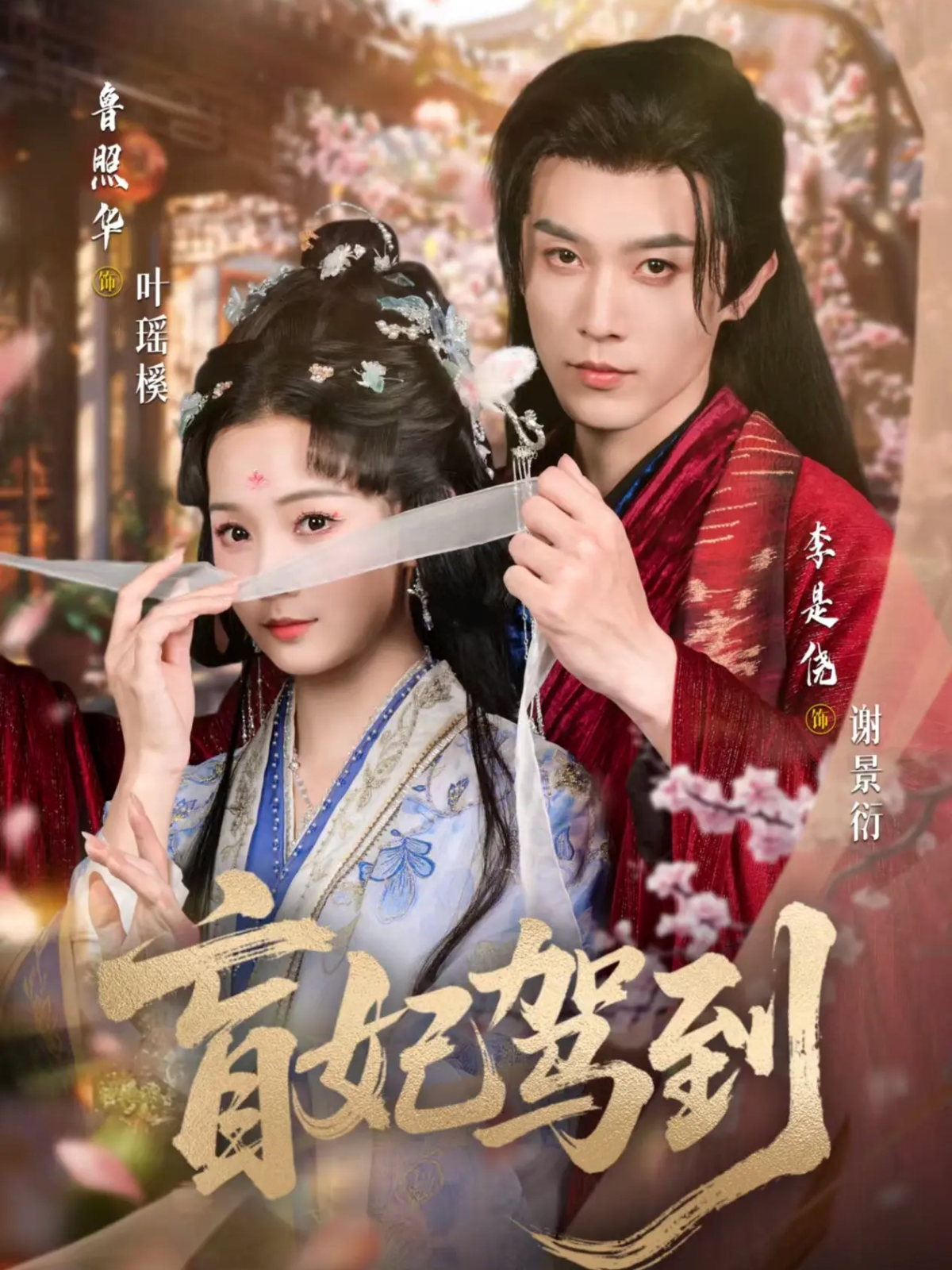 盲妃驾到封面图