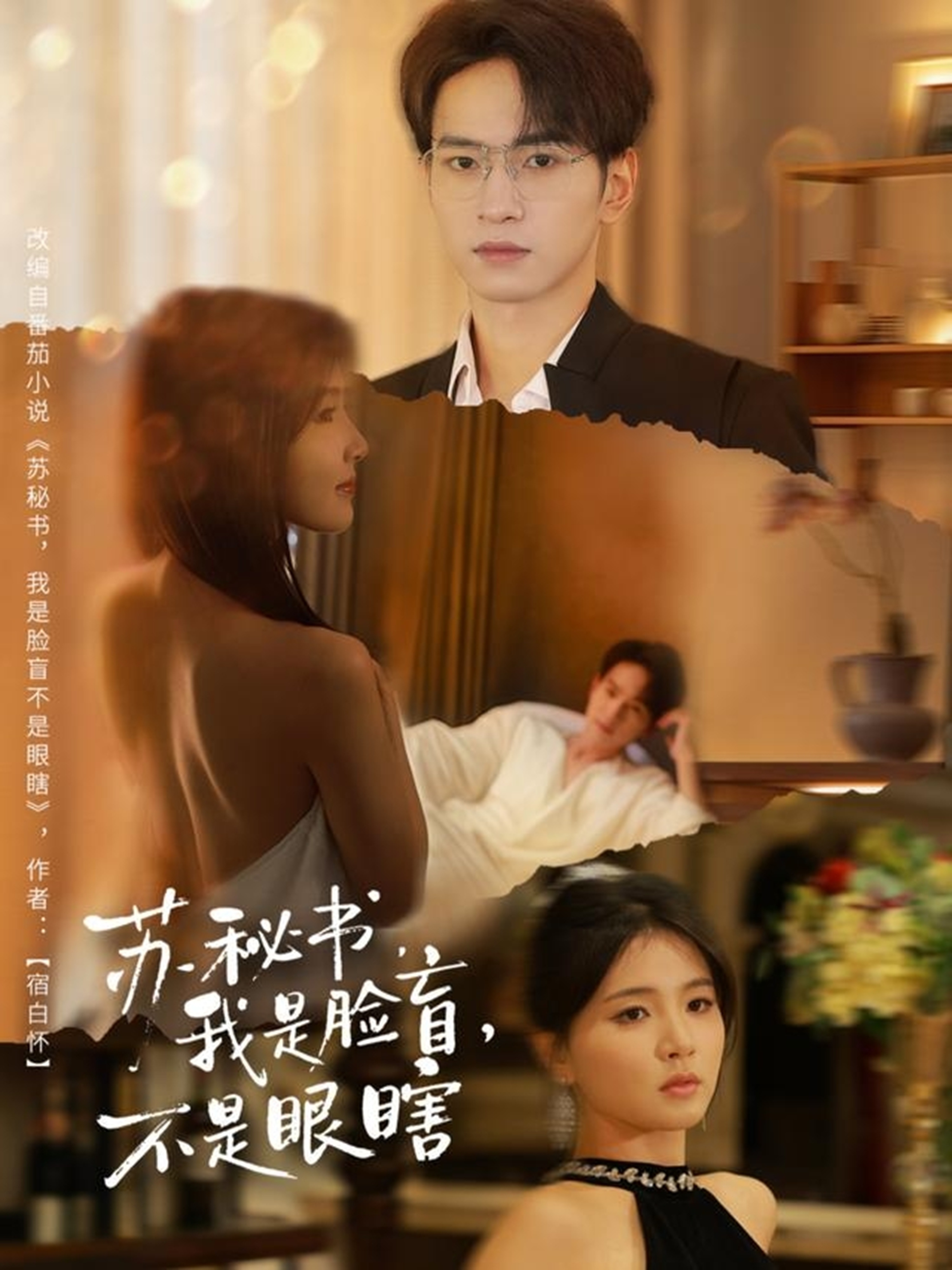 苏秘书我是脸盲不是眼瞎封面图