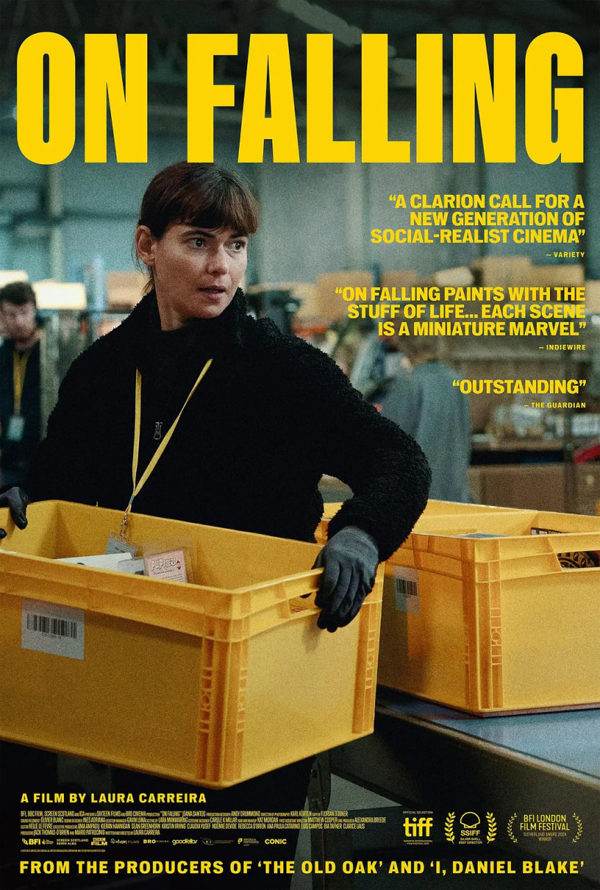 坠落 2024封面图