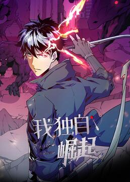 我独自崛起封面图
