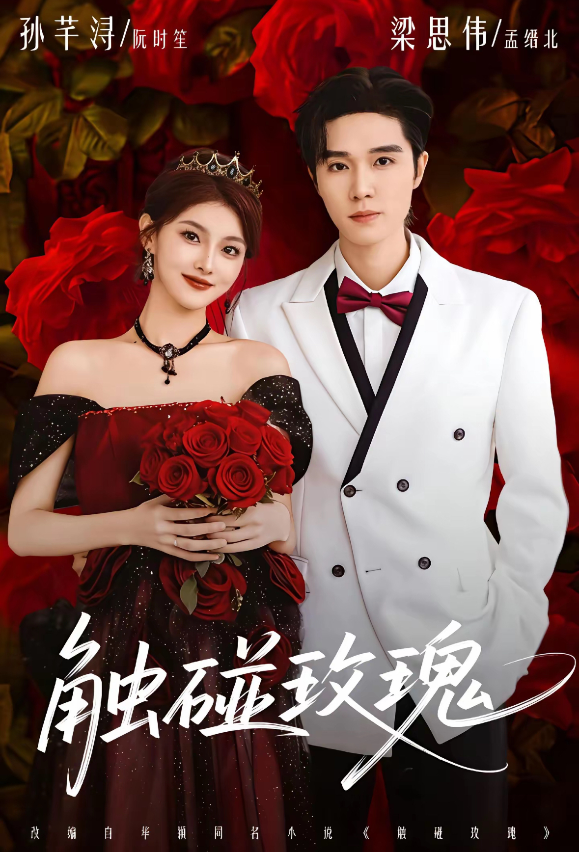 触碰玫瑰封面图