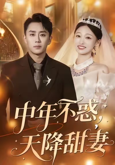 中年不惑，天降甜妻封面图