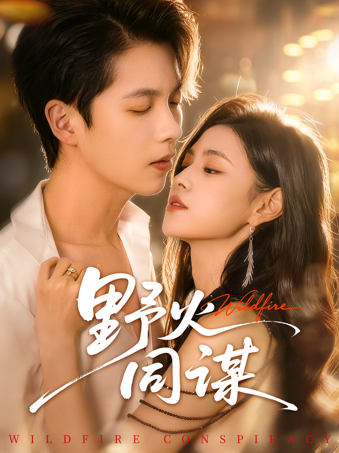 野火同谋封面图