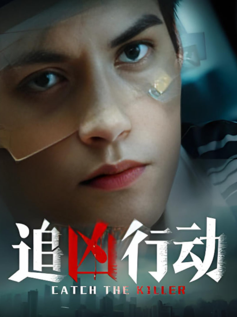 追凶行动封面图